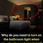 This is why you should keep the bathroom light on when sleeping in a hotel