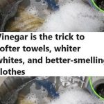 Vinegar Is the Secret to Soft Towels, Whiter Whites, and Other Laundry Solutions