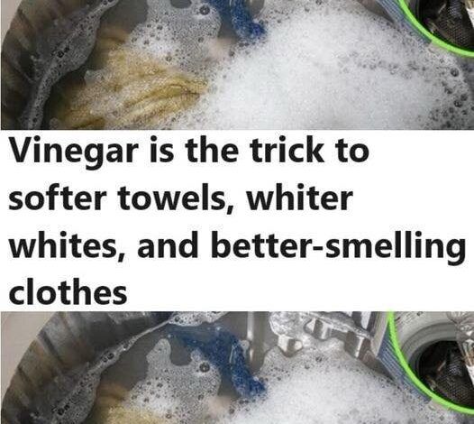 Vinegar Is the Secret to Soft Towels, Whiter Whites, and Other Laundry Solutions
