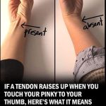 If a Tendon Raises Up When You Touch Your Pinky to Your Thumb, Here’s What It Could Mean