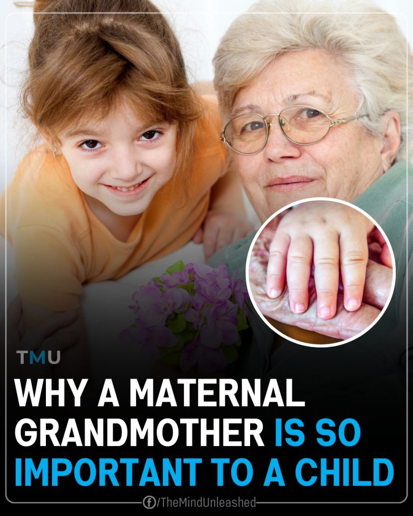 There’s Something Special Our Grandmothers Give Us: Why A Maternal Grandmother Is So Important To A Child
